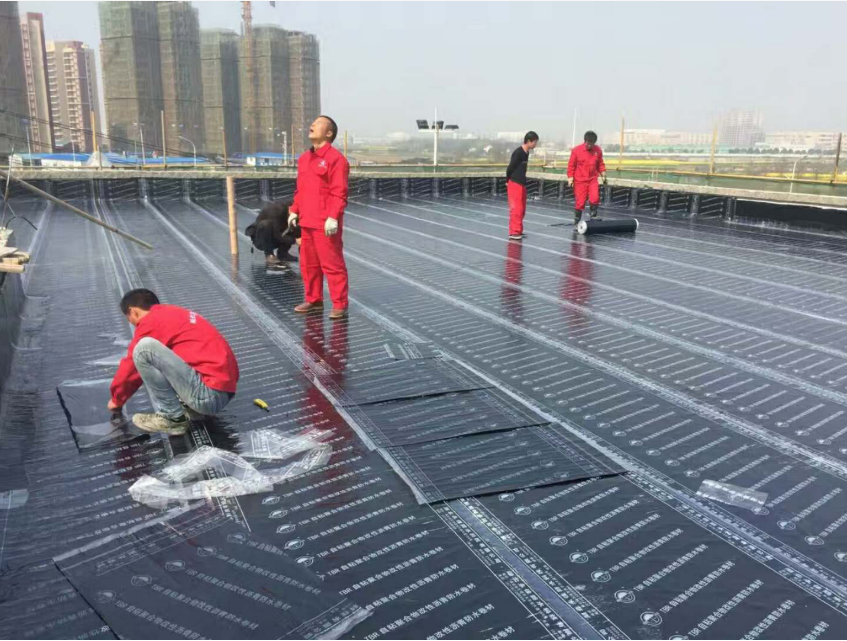 �Զ�����ư�װ����